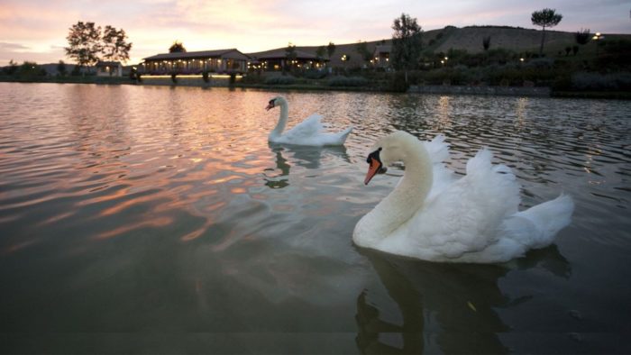 IL LAGO EVENTI