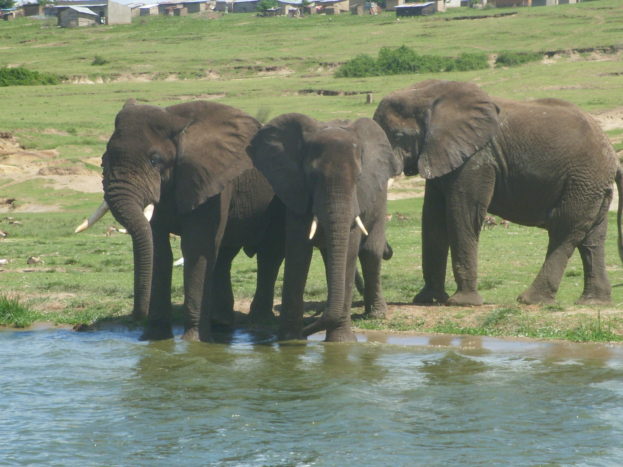Uganda