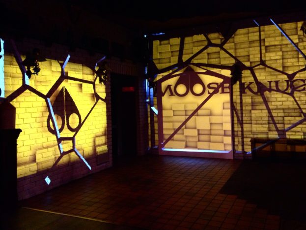 Proiezione Immersiva