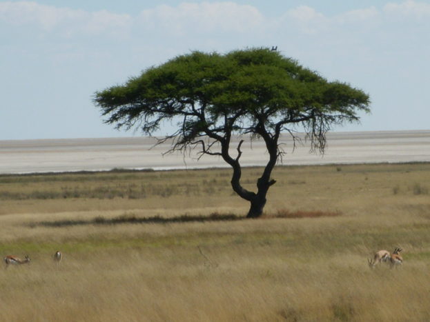 Namibia