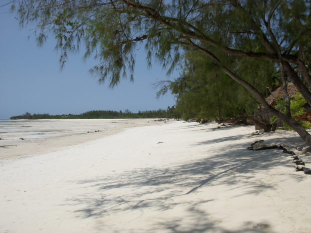 Zanzibar