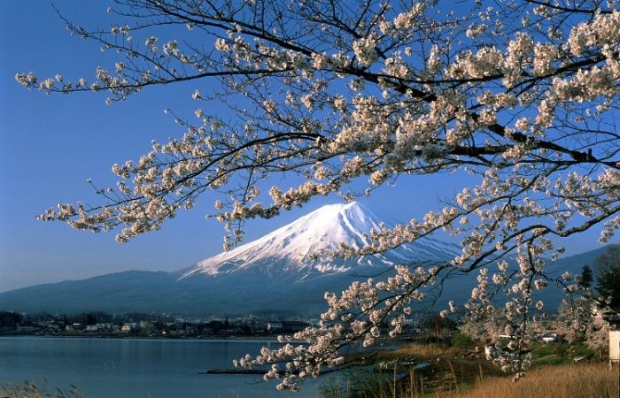 Giappone