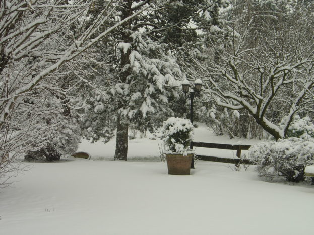 inverno