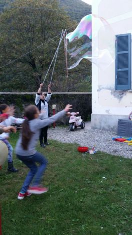 bolle