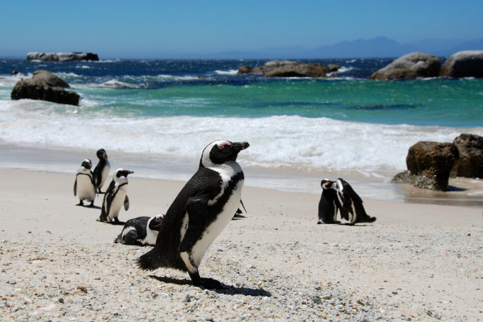Sudafrica