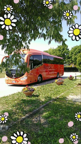 54 posti
