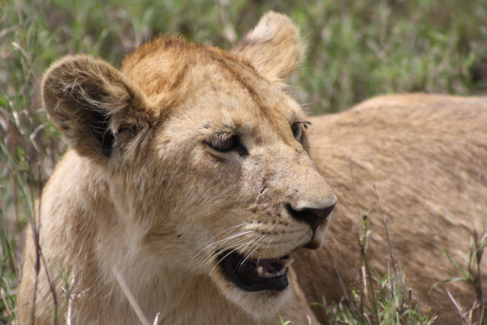 Tanzania