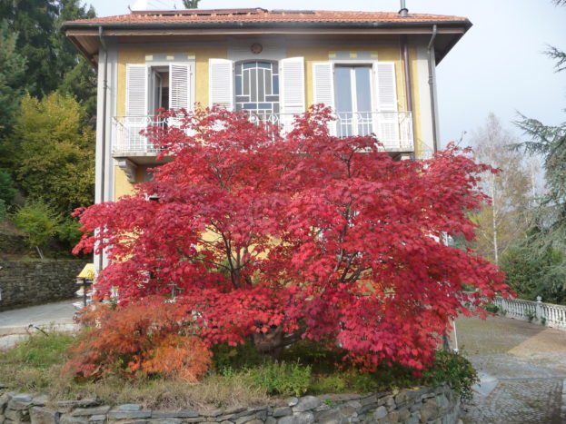 Facciata sud della villa verso