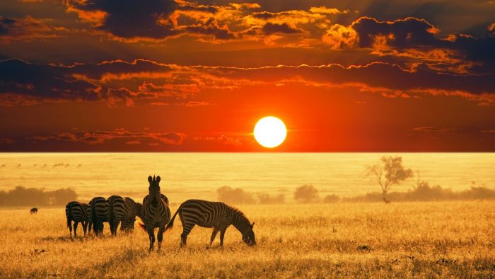 Viaggio di nozze Sudafrica