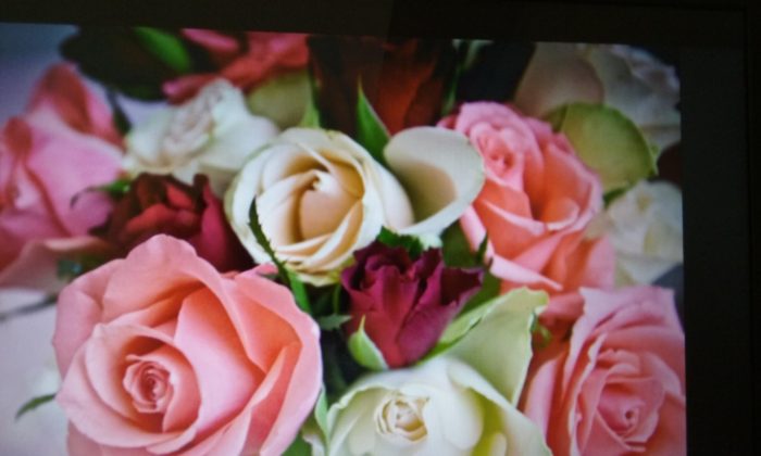 BOUQUET