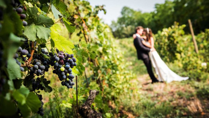 Tra le vigne
