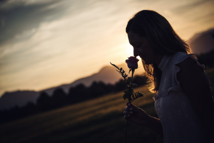 La rosa