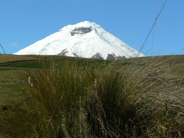 Viaggio di Nozze Sud America