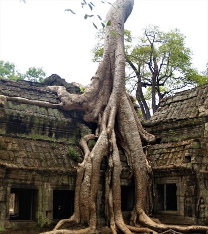 Viaggio di Nozze Cambogia