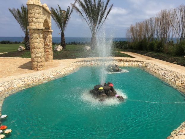 Giardini e eSale