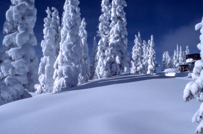 Grande Nord