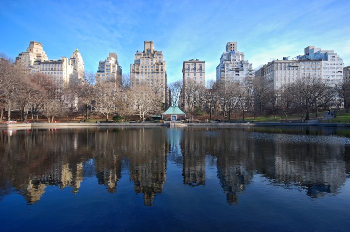 Central Park - New York