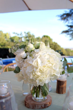 V+M Wedding