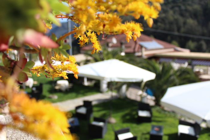 GIARDINO