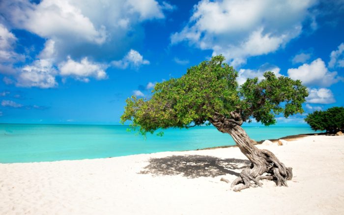 Aruba