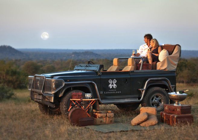 Safari