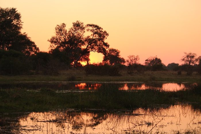 AFRICA