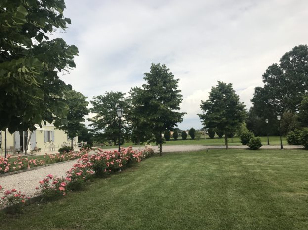 Il parco 