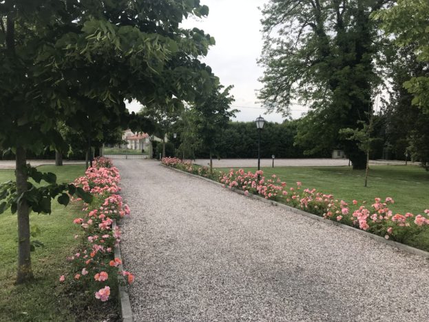 Il viale d'ingresso