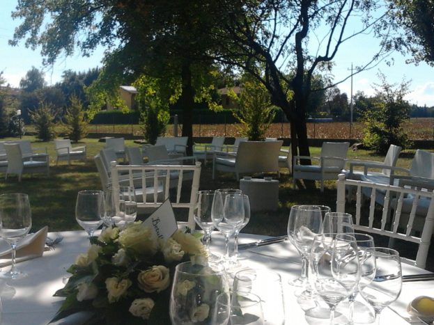 Mise en place (anaphalis)