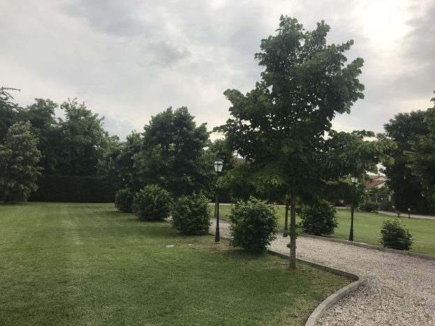 Il giardino 
