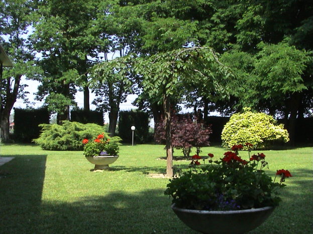 Parco