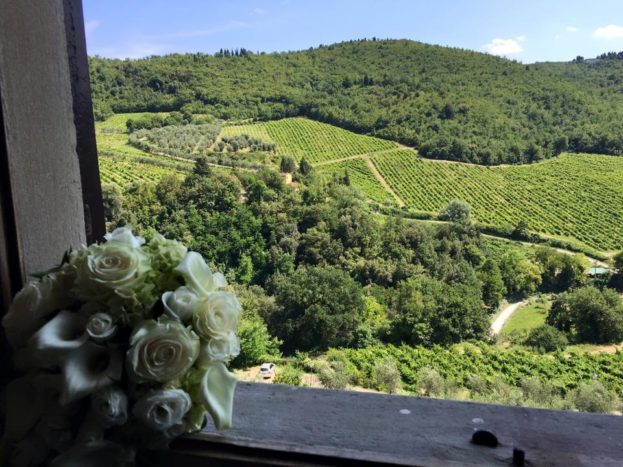 La vista sui vigneti