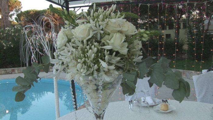 Horse Wedding Experience