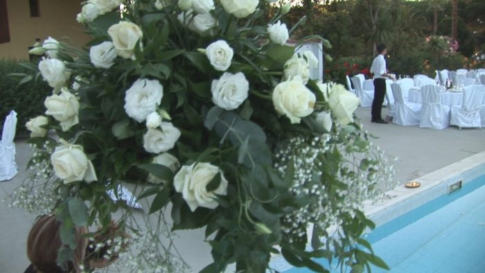 Horse Wedding Experience 3