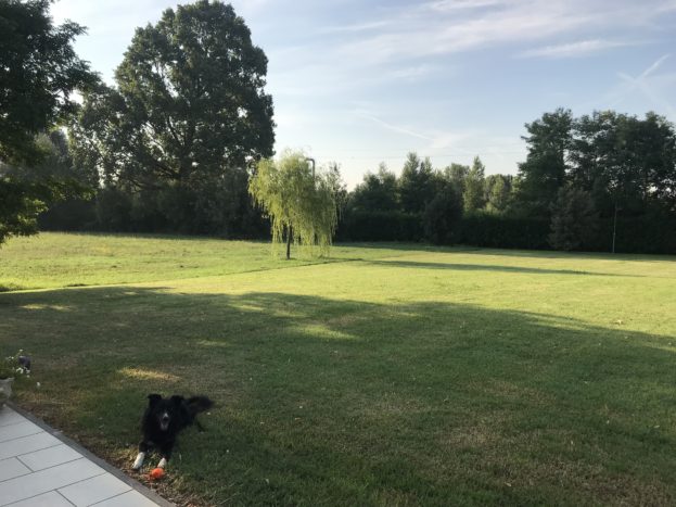 Il parco