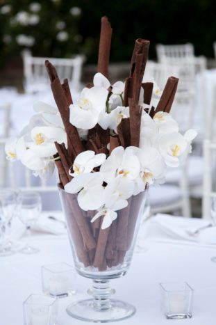 Elegante