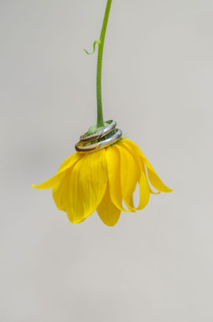 Fiori