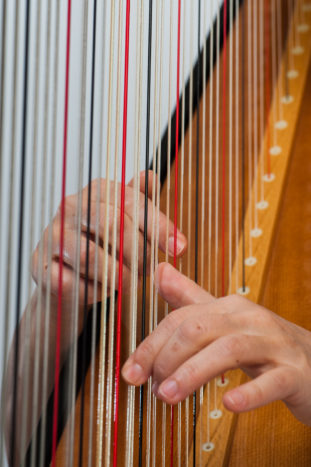 Arpa classica