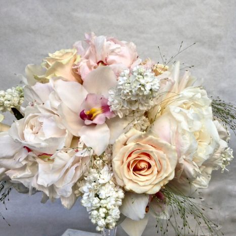 Peonie rose e 