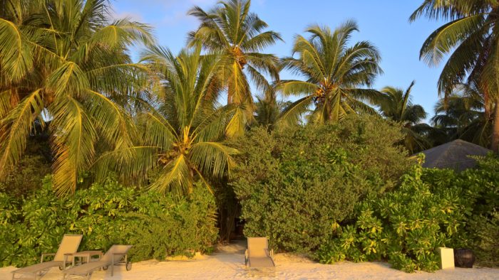 Maldive