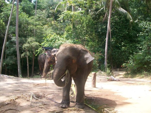 THAILANDIA