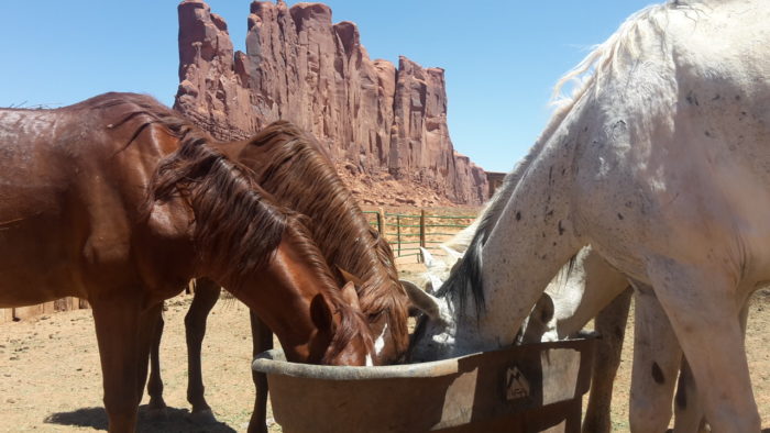 Utah USA