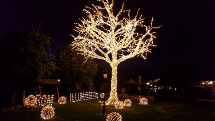 GIANT BRILLIANT TREE