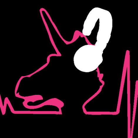 Dj Stephan