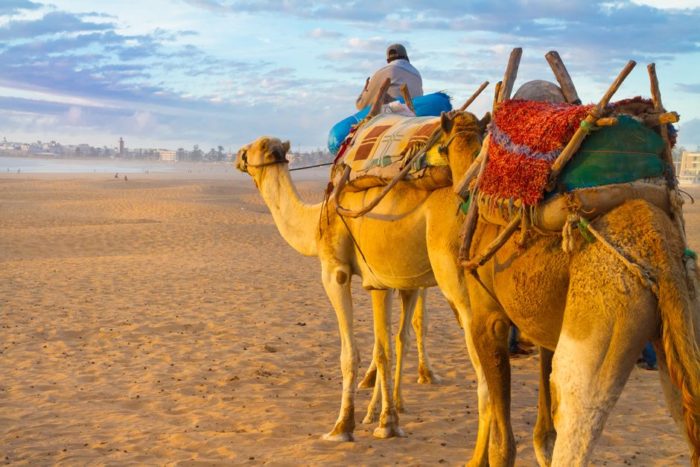 Marocco deserto