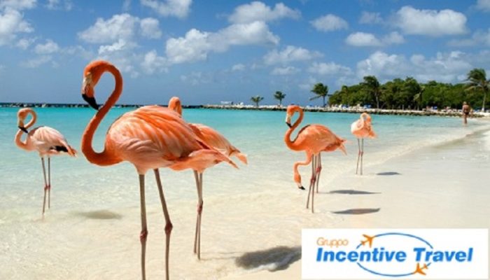 Aruba