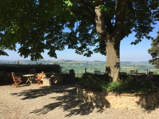 vista vallate,alberi secolari