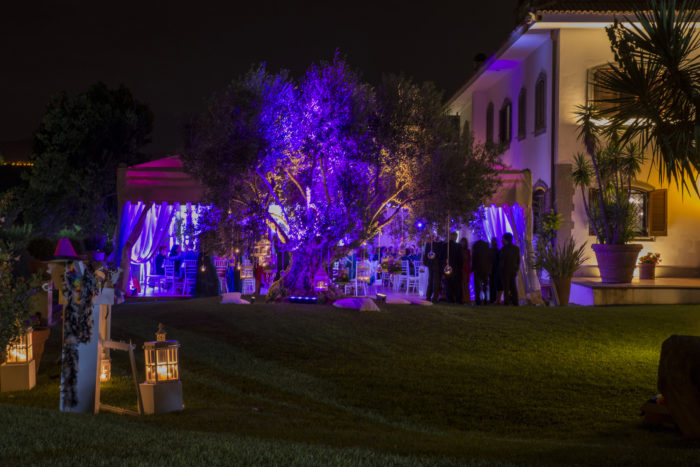 Illuminazione albero