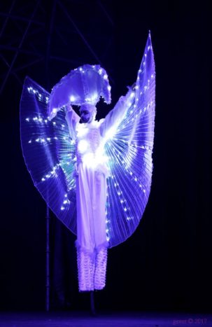 Ali luminose