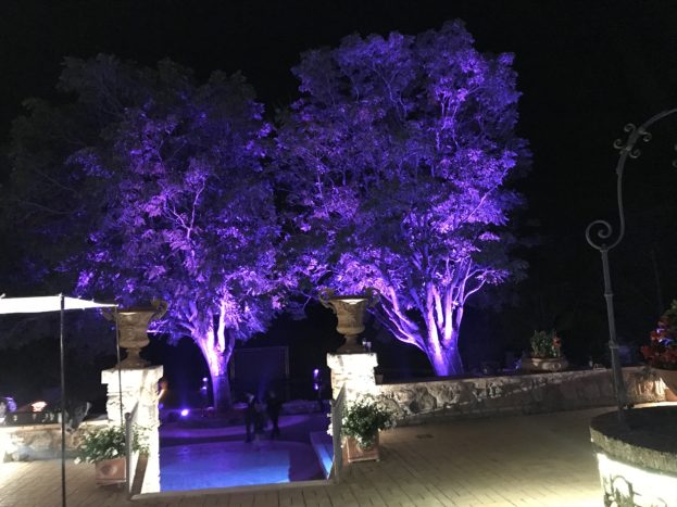 illuminazione alberi